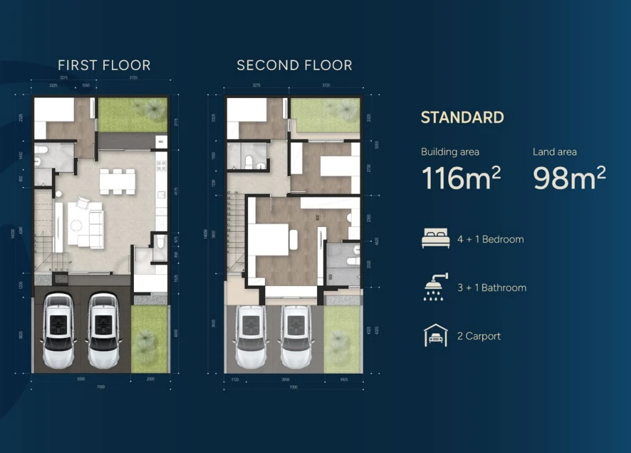Denah Vyorelle 116/98